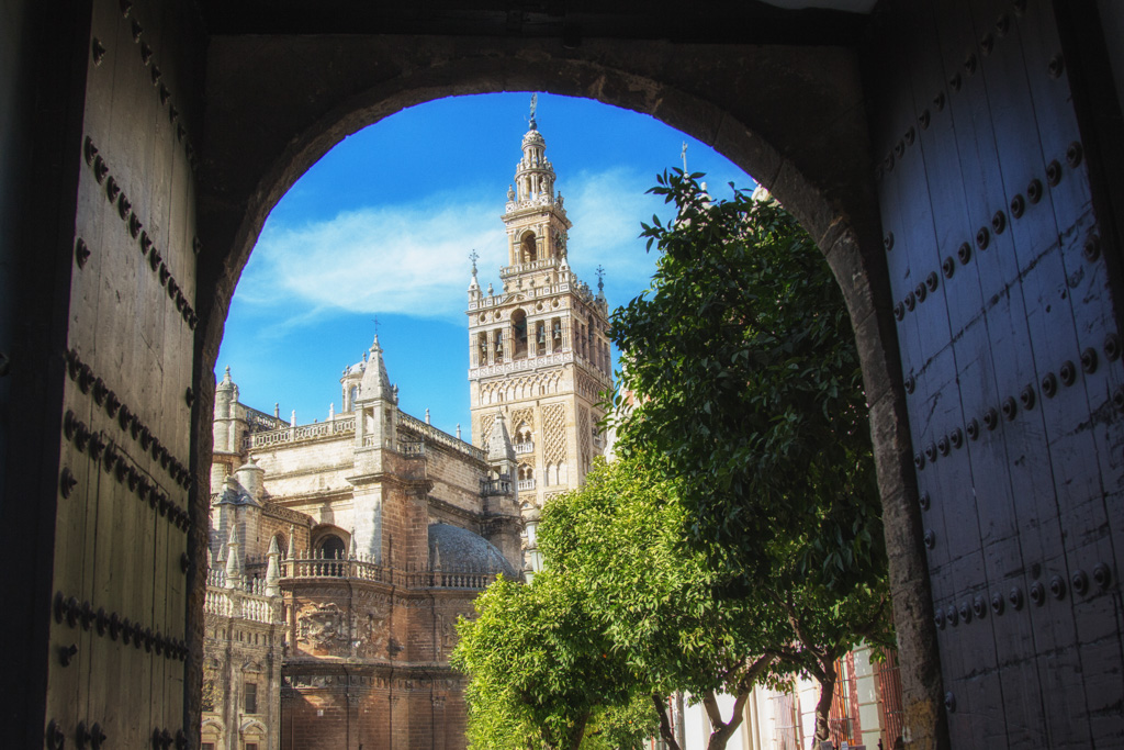 Learn how to metter and expose correctly