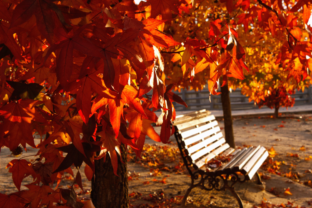 Light Metering for a correct exposition