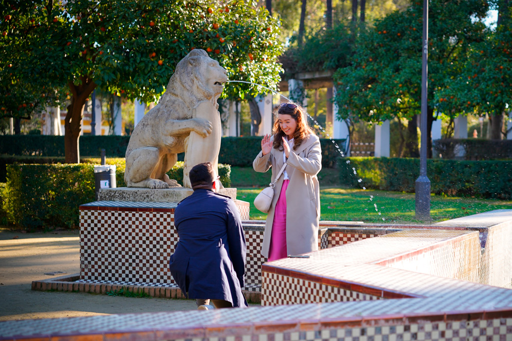 Secret proposal in Seville